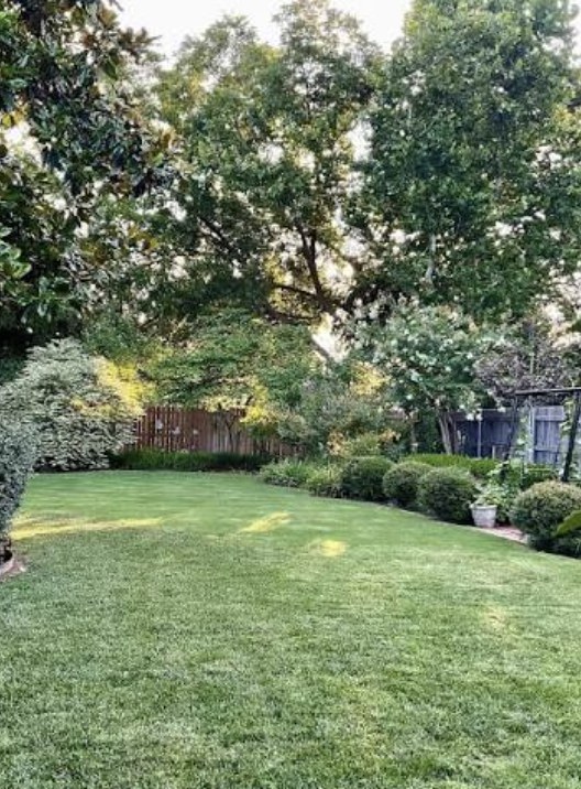 Backyard lawn freshly mowed with clean, even grass